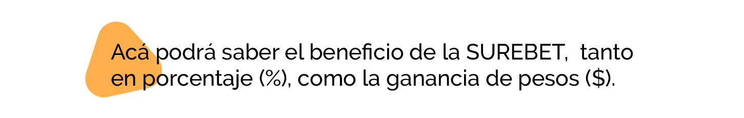 Banner 5